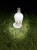 IMG_3708.jpeg